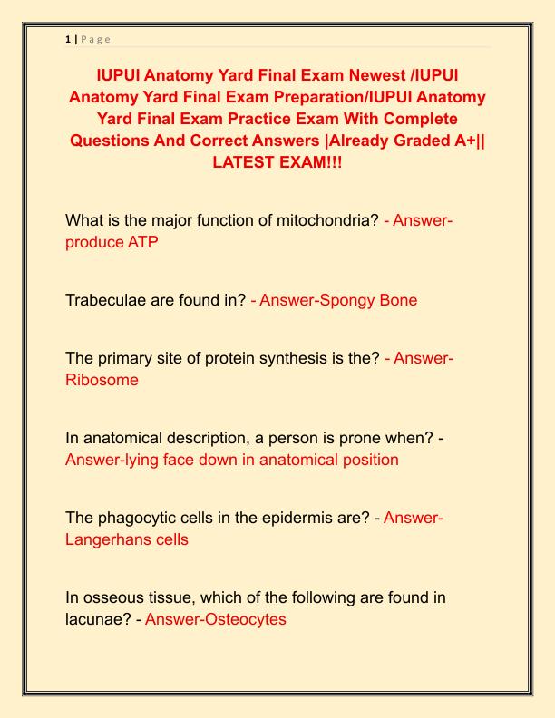 IUPUI Anatomy Yard Final Exam Newest