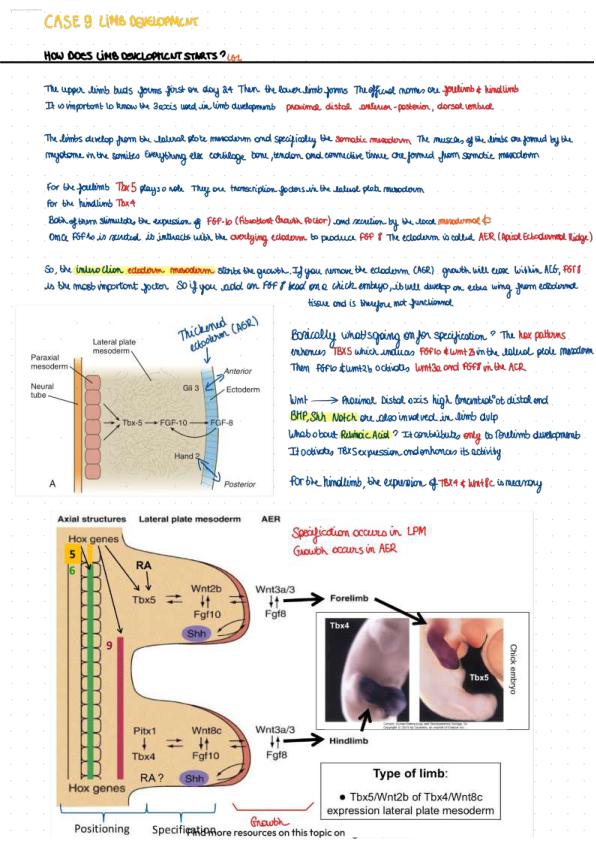 Case 9_ Limb development and Apoptosis Exam Graded A+ with Updated  100% solutions