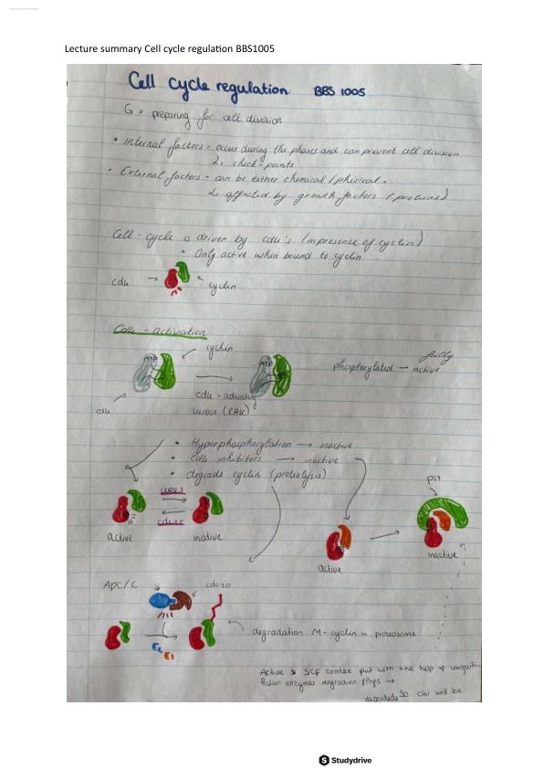 Lecture summary Cell cycle regulation BBS1005.Exam Graded A+ with Updated  100% solutions