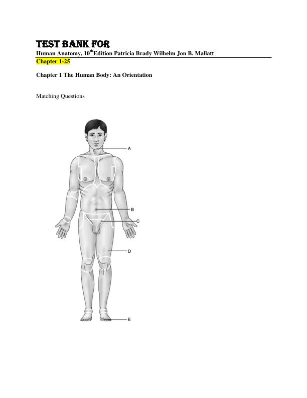 Test Bank for Human Anatomy, 10th edition Patricia Brady Wilhelm  Jon B. Mallatt